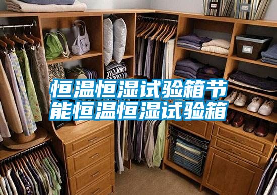 恒溫恒濕試驗箱節能恒溫恒濕試驗箱