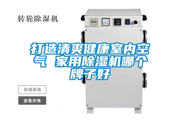 打造清爽健康室內空氣 家用除濕機哪個牌子好
