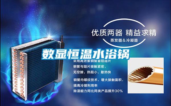 數顯恒溫水浴鍋