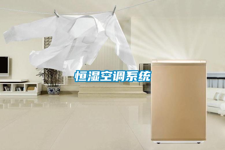 恒濕空調(diào)系統(tǒng)