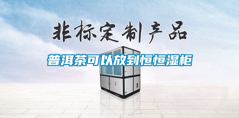 普洱茶可以放到恒恒濕柜