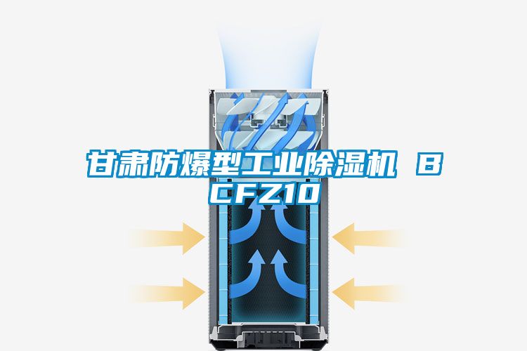 甘肅防爆型工業除濕機 BCFZ10