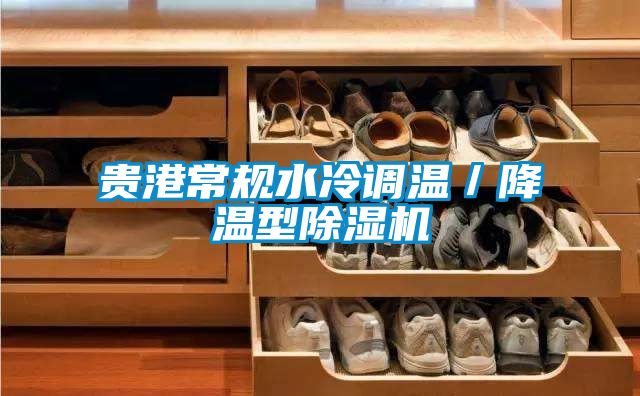 貴港常規水冷調溫／降溫型除濕機