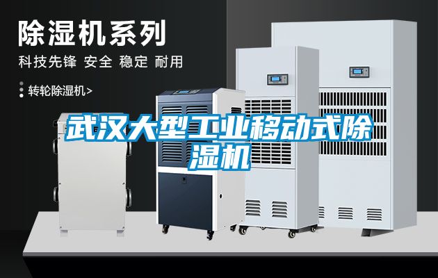 武漢大型工業移動式除濕機