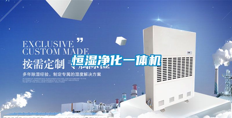恒濕凈化一體機