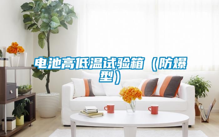 電池高低溫試驗箱（防爆型）