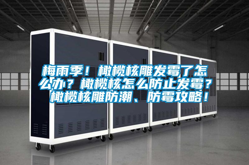 梅雨季！橄欖核雕發(fā)霉了怎么辦？橄欖核怎么防止發(fā)霉？ 橄欖核雕防潮、防霉攻略！