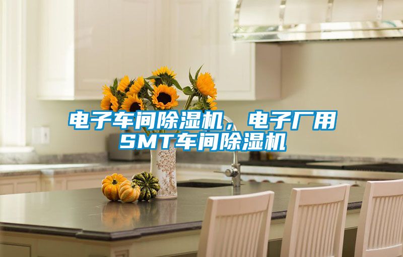 電子車間除濕機(jī)，電子廠用SMT車間除濕機(jī)