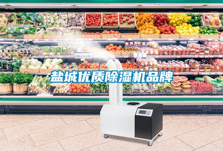 鹽城優質除濕機品牌