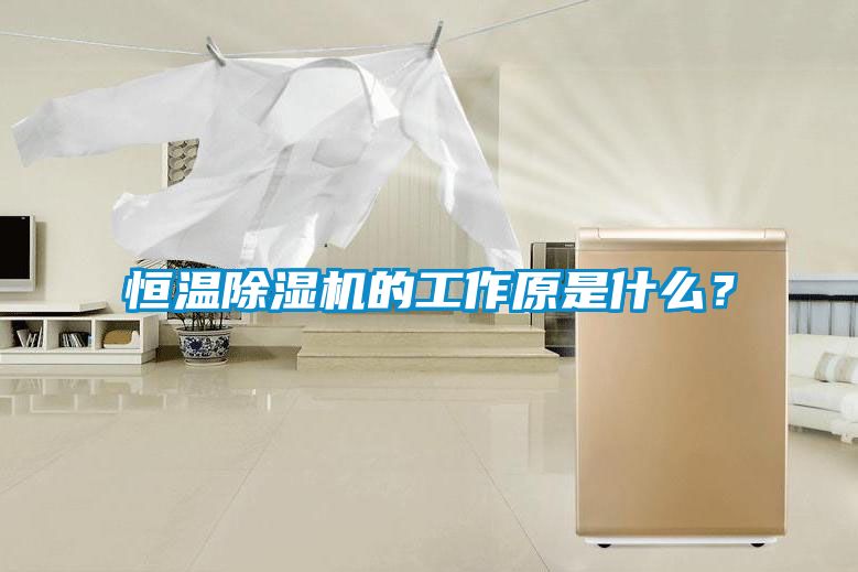 恒溫除濕機的工作原是什么？