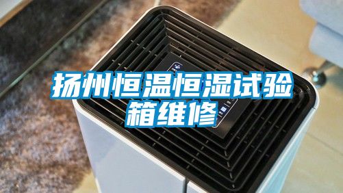 揚州恒溫恒濕試驗箱維修