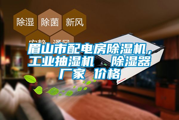 眉山市配電房除濕機，工業抽濕機  除濕器廠家 價格