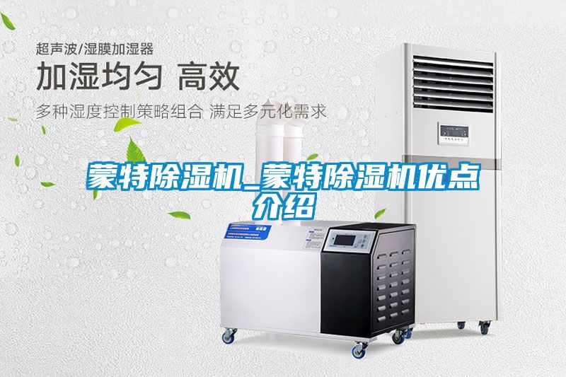 蒙特除濕機(jī)_蒙特除濕機(jī)優(yōu)點(diǎn)介紹