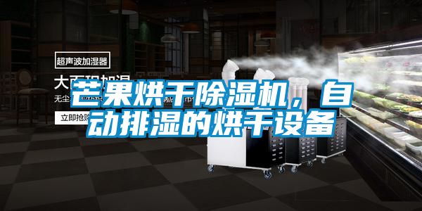 芒果烘干除濕機，自動排濕的烘干設備
