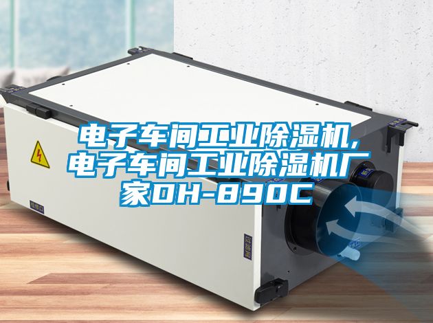 電子車間工業除濕機,電子車間工業除濕機廠家DH-890C