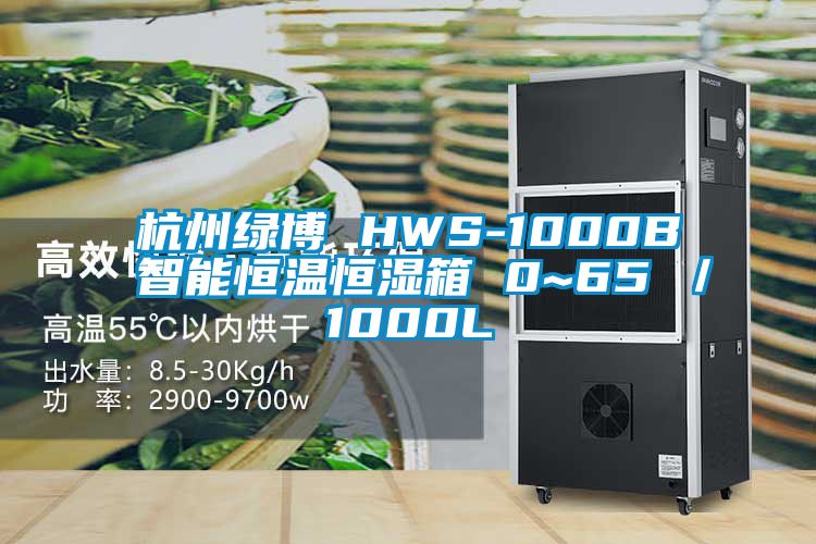 杭州綠博 HWS-1000B 智能恒溫恒濕箱 0~65℃／1000L