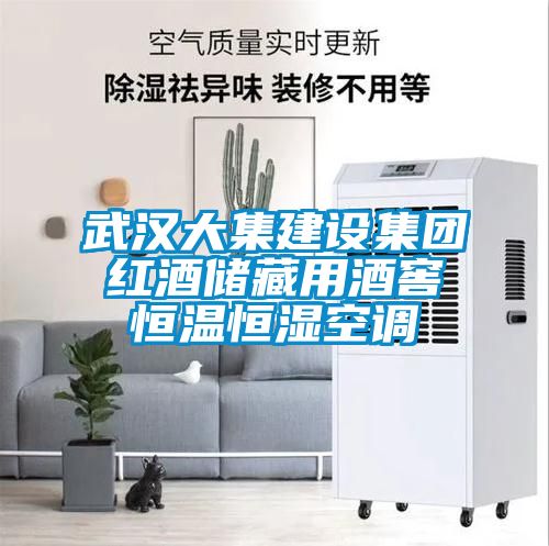 武漢大集建設集團紅酒儲藏用酒窖恒溫恒濕空調