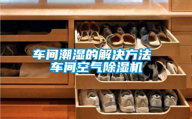 車(chē)間潮濕的解決方法 車(chē)間空氣除濕機(jī)