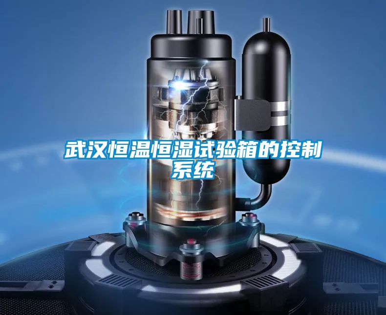 武漢恒溫恒濕試驗(yàn)箱的控制系統(tǒng)
