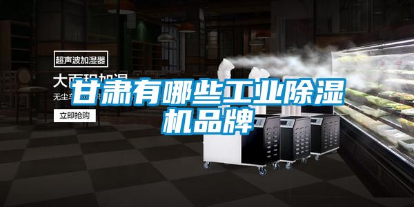 甘肅有哪些工業除濕機品牌