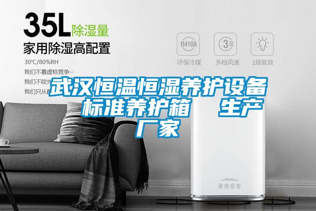 武漢恒溫恒濕養(yǎng)護(hù)設(shè)備 標(biāo)準(zhǔn)養(yǎng)護(hù)箱 生產(chǎn)廠家