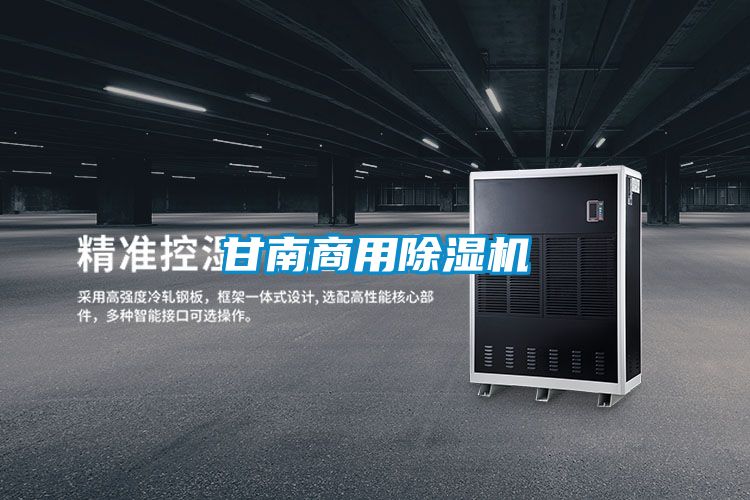 甘南商用除濕機