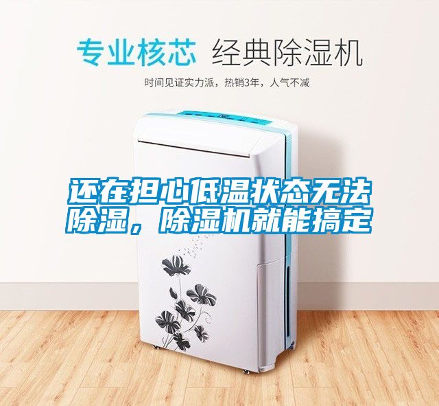 還在擔(dān)心低溫狀態(tài)無法除濕，除濕機就能搞定