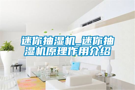 迷你抽濕機_迷你抽濕機原理作用介紹