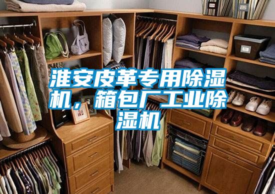 淮安皮革專用除濕機,箱包廠工業除濕機