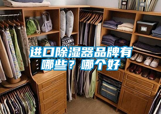 進(jìn)口除濕器品牌有哪些？哪個(gè)好