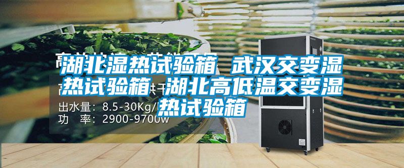 湖北濕熱試驗(yàn)箱 武漢交變濕熱試驗(yàn)箱 湖北高低溫交變濕熱試驗(yàn)箱