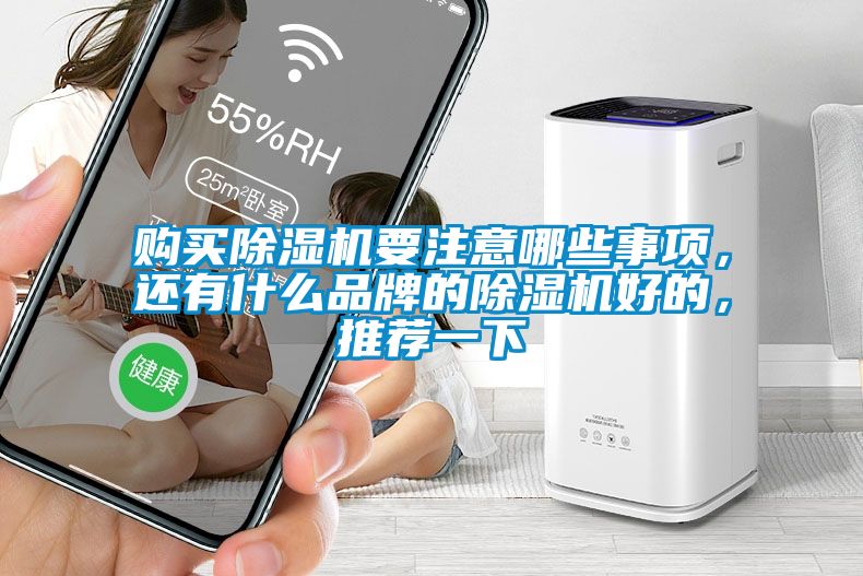 購買除濕機要注意哪些事項，還有什么品牌的除濕機好的，推薦一下