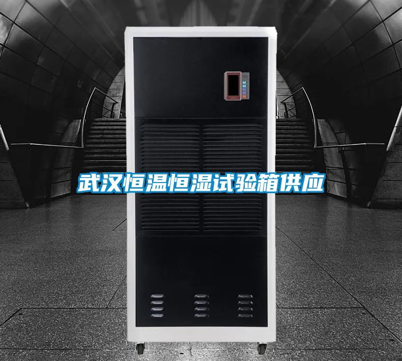 武漢恒溫恒濕試驗箱供應