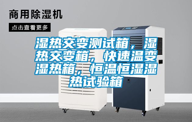 濕熱交變測試箱,濕熱交變箱,快速溫變濕熱箱,恒溫恒濕濕熱試驗箱