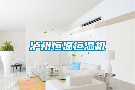 瀘州恒溫恒濕機