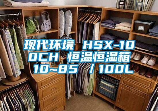 現代環境 HSX-100CH 恒溫恒濕箱 10~85℃／100L