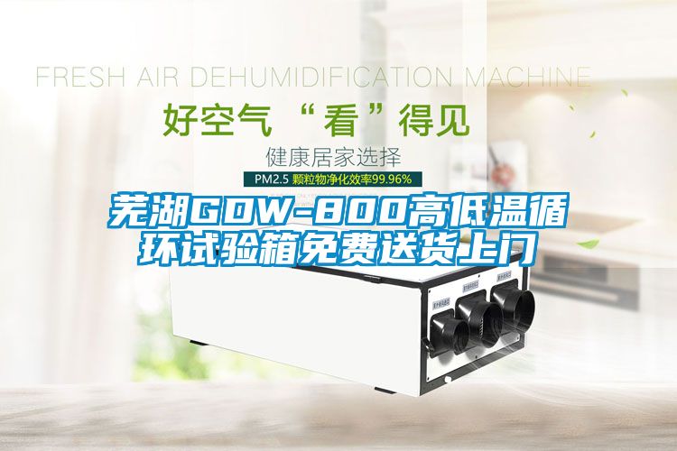 蕪湖GDW-800高低溫循環試驗箱免費送貨上門