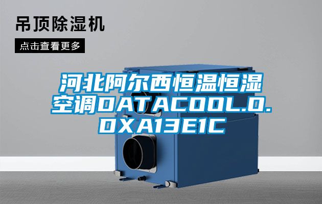 河北阿爾西恒溫恒濕空調(diào)DATACOOL.O.DXA13E1C
