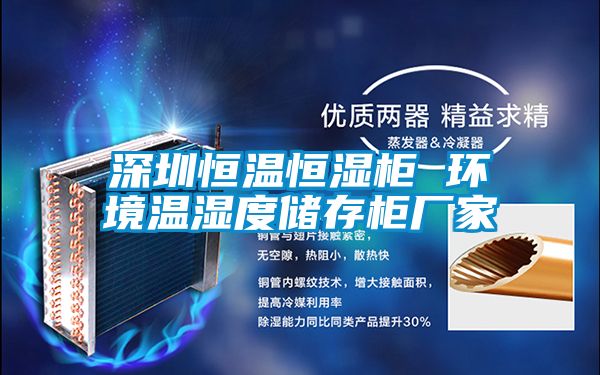 深圳恒溫恒濕柜 環(huán)境溫濕度儲存柜廠家