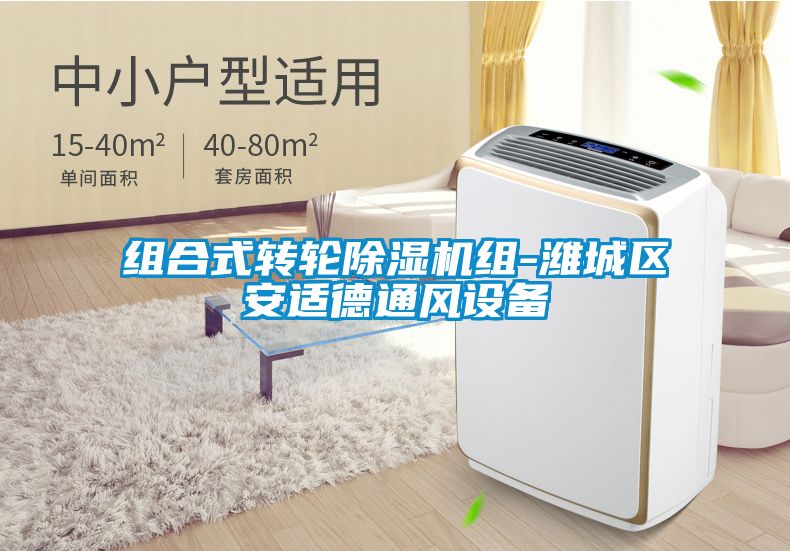 組合式轉(zhuǎn)輪除濕機組-濰城區(qū)安適德通風(fēng)設(shè)備