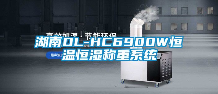 湖南DL-HC6900W恒溫恒濕稱重系統(tǒng)