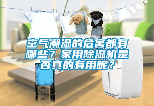 空氣潮濕的危害都有哪些?家用除濕機是否真的有用呢?