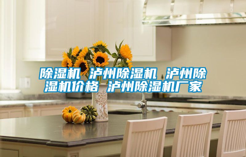 除濕機 瀘州除濕機 瀘州除濕機價格 瀘州除濕機廠家