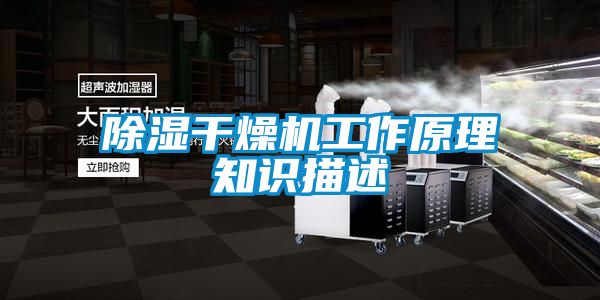 除濕干燥機(jī)工作原理知識(shí)描述