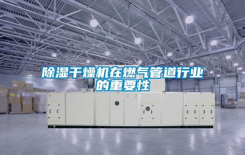除濕干燥機在燃氣管道行業的重要性