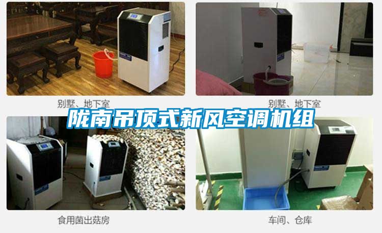 隴南吊頂式新風空調機組