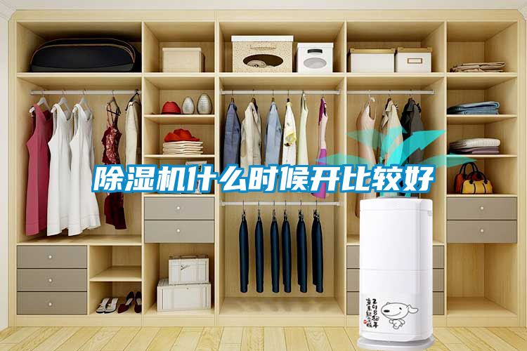 除濕機什么時候開比較好