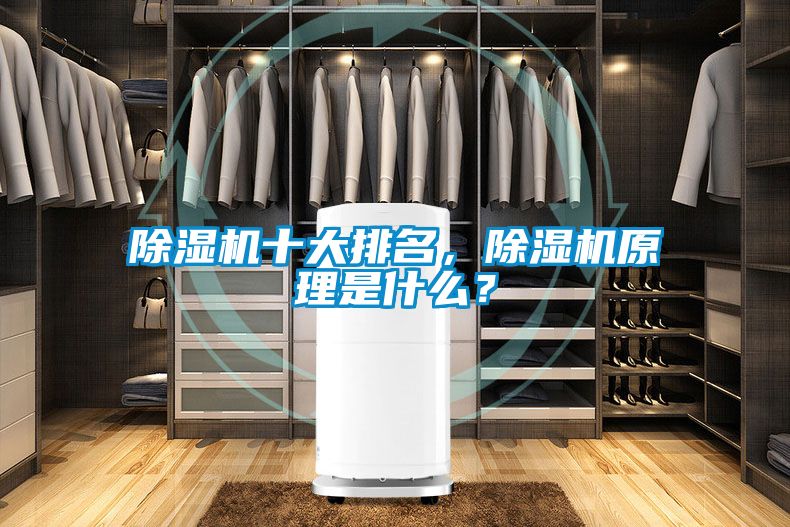 除濕機十大排名,除濕機原理是什么?