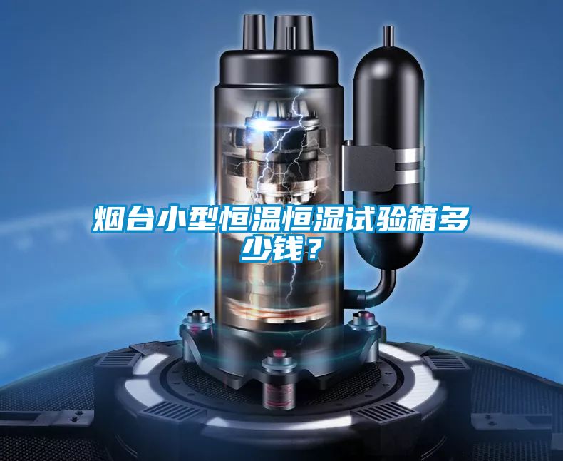 煙臺小型恒溫恒濕試驗箱多少錢?