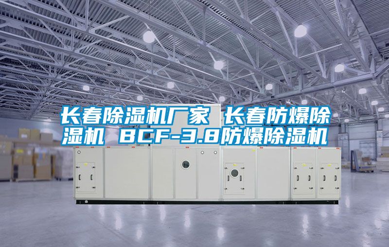 長(zhǎng)春除濕機(jī)廠家 長(zhǎng)春防爆除濕機(jī) BCF-3.8防爆除濕機(jī)